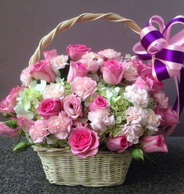 Sự kiện của bé